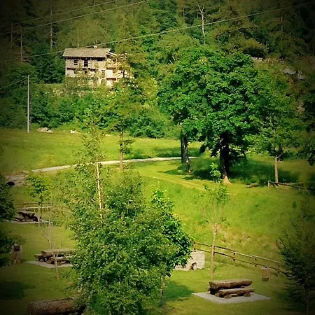 Valle Di Gressoney ガブイ