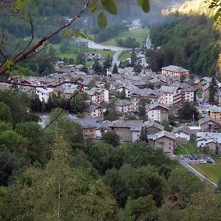 Valle Di Gressoney * ガブイ